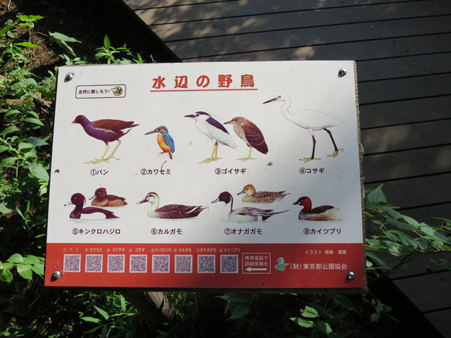 Canon PowerShot S120 作例 石神井公園 水辺の野鳥の看板