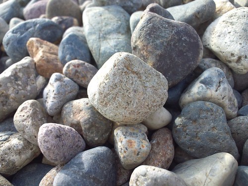 牛久大仏近辺の小石たち【F-02Cで撮影】
